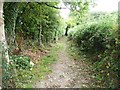 Public footpath to Jenny