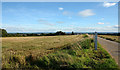 Field at Upper Woodhouse Farm