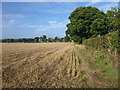 Stubble, west of East Layton road