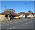 Holyhead Road bungalows, Llanfairpwllgwyngyll