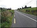 H1310 : R204 road at Cornacreegh by Kenneth  Allen