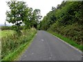 H1214 : Road at Camagh by Kenneth  Allen