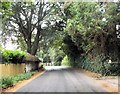 Station Road from Clarendon Court