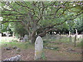 All Saints, Freshwater: churchyard (4)