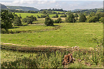 SO1154 : Field near The Mount, Hundred House, Powys by Christine Matthews