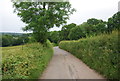 Sussex Border Path