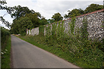 SU6714 : Tall flint wall protecting Hinton Daubnay House by Peter Facey