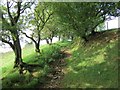 Llwybr Tir Paun  / Tir Paun footpath