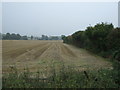 Farmland near Darton