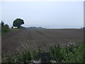 Ploughed field, Windhill Gate