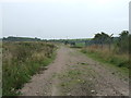 Track heading south from Shaw Lane