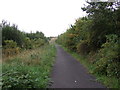 Cycle track beside the A6195