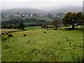 Misty along the Glenelly Valley