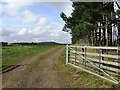 Track at edge of woodland