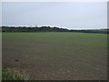 Farmland off Storrs Mill Lane