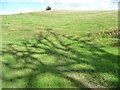 Tree shadows on a hillside, east of Lan Sor