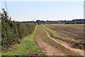 Farm track near High Dyke Farm