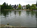 Houses alongside the Thames