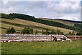 The Borders Railway Works at Stow