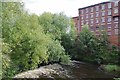 Weir on The Mersey