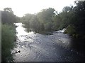 NZ2335 : Upstream River Wear by Stanley Howe