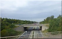 SJ4366 : The A51 crosses the A55 at Littleton by Raymond Knapman