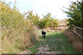 Footpath to Tollesbury Marina