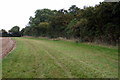 Bridleway by Ramacre Wood