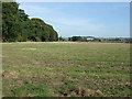 Farmland north off the A631