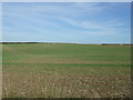 Wolds farmland