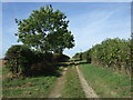 Lane near Calcethorpe Manor Farm