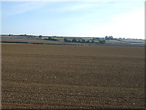 TF2476 : Farmland off Green Lane by JThomas