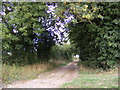 Farm Track off Church Lane