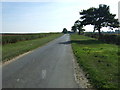 Minor road towards Horncastle