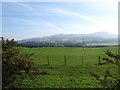 Grazing lands at Chesterhall