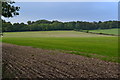 View across fields towards Kent