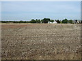 Farmland near Horncastle