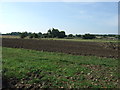 Farmland, Dalderby