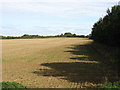 Farmland near Glendon Hall