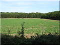 Farmland and woodland at Acreland Farm