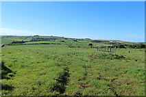 NX0459 : Farmland near Greenfield by Billy McCrorie