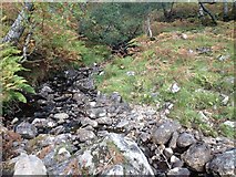 NM7569 : Small stream flowing into Loch Shiel by Steven Brown