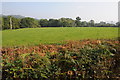 Farmland near Bwlch-y-Ffridd