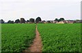 Public footpath across a field, near Spennells, Kidderminster