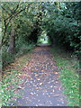 Ouse Valley Way by Priory Park