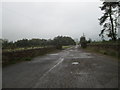 The road leading to Bankwood Farm