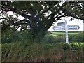 SX7968 : Farmland at Bovey Cross and its signpost by David Smith