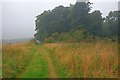 Public Bridleway near Hillhouse Plantation