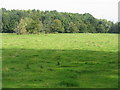 Field by Bideford Brook