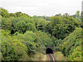 Merstham Tunnel (fast lines)